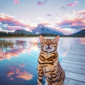 Meet your Posher, Eileen